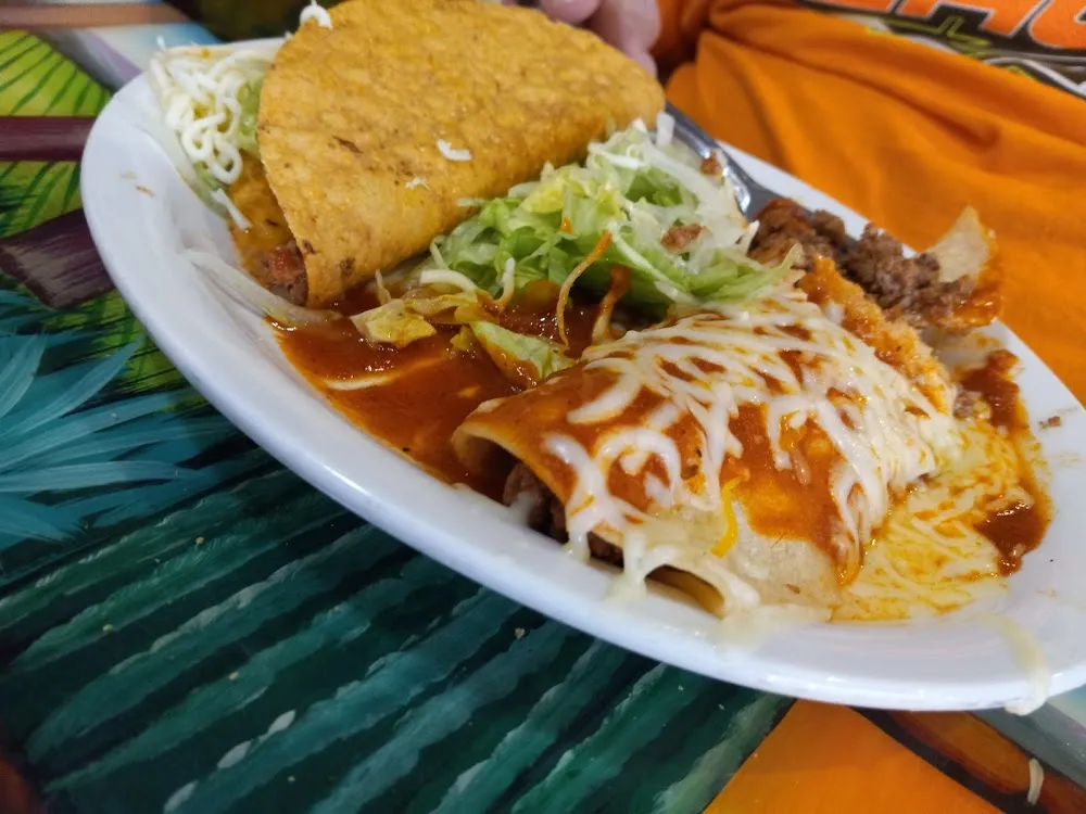 Enchiladas with Green Sauce and Rice